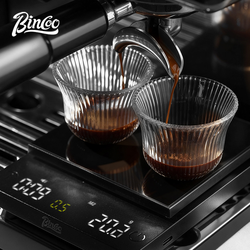 BINCOO Digital Coffee Scale 0. - огляд і ціна Scale Drip Timer